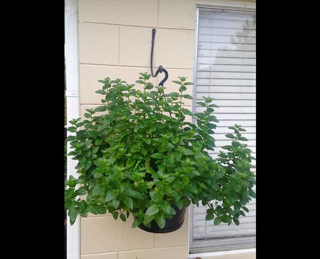 basket hanging issues