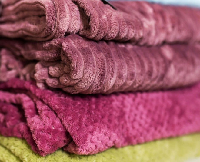 bed bugs in blanket