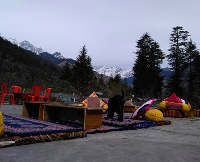 casoli clubs in himachal