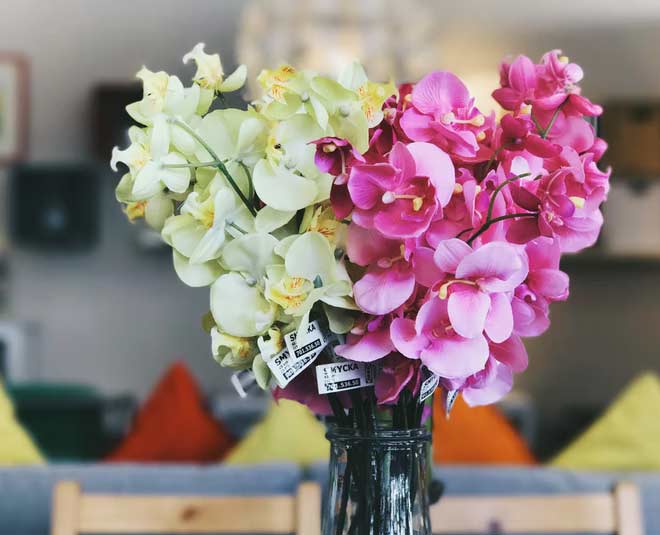 clean artificial plants