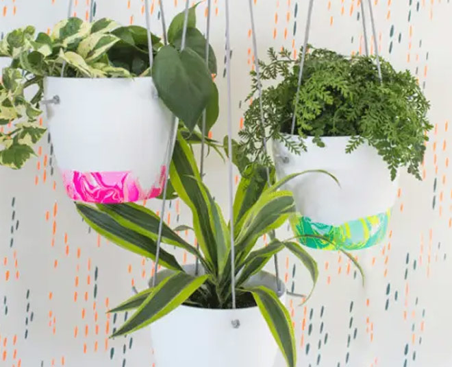 coffee mug gardening ideas hanging planter