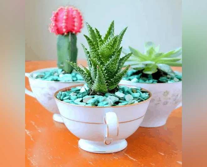 coffee mug gardening ideas indoor decor