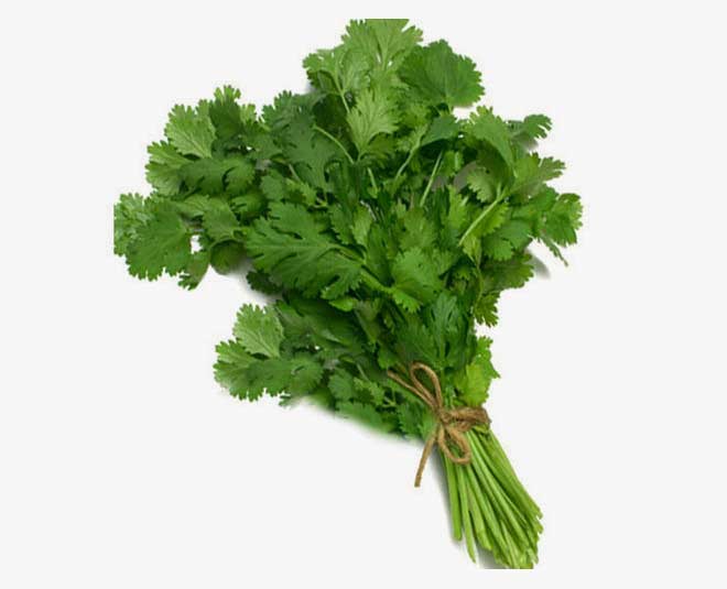 dhaniya and fresh leaves