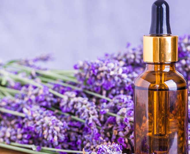 easy tips to get rid of booklice bugs