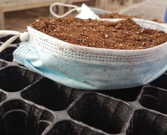 facemask usage in gardenind