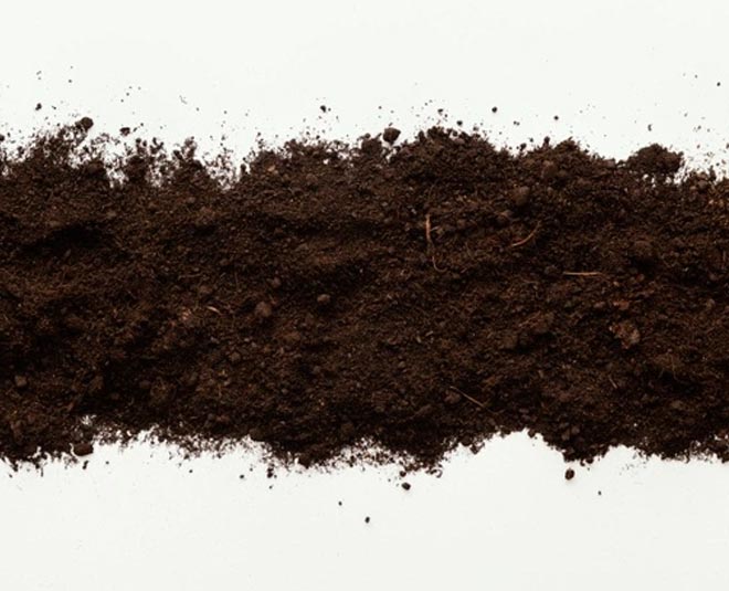 garden milching in hindi