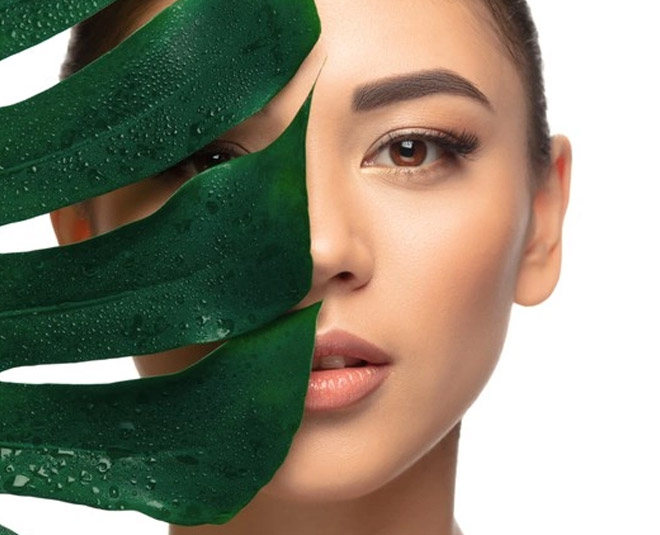 how to apply aleo vera face pack on face