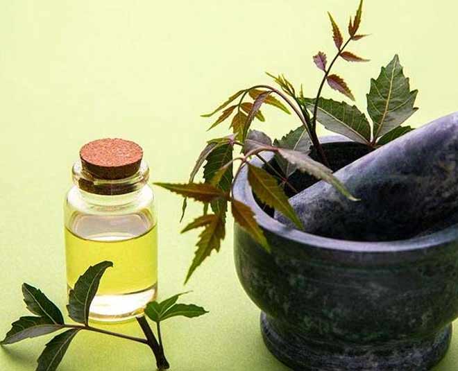 how to get rid of bugs from tomato plant inside