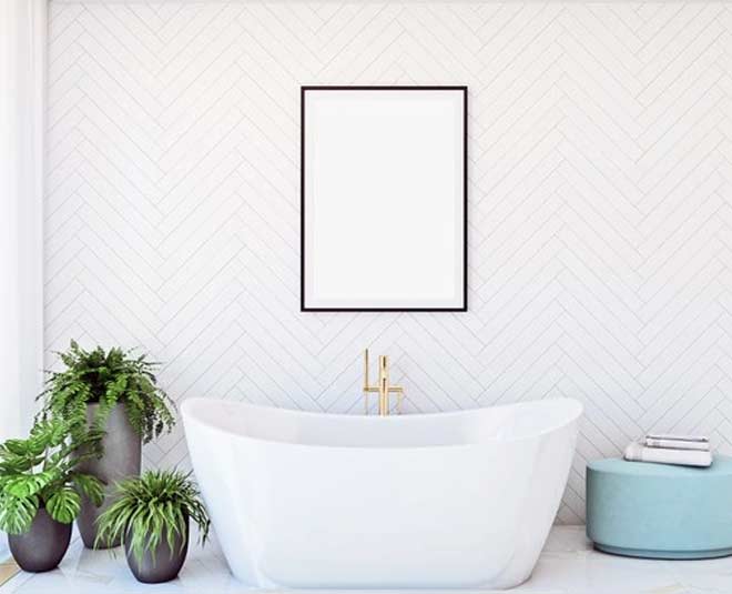indoor plants for bathroom