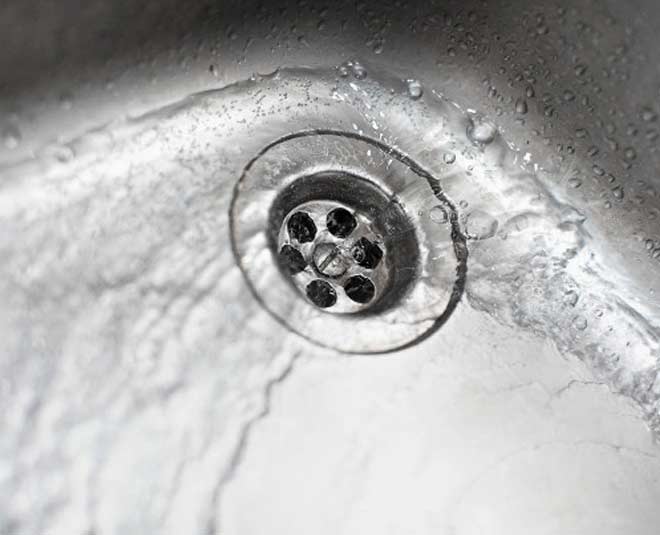 insects in kitchen drain