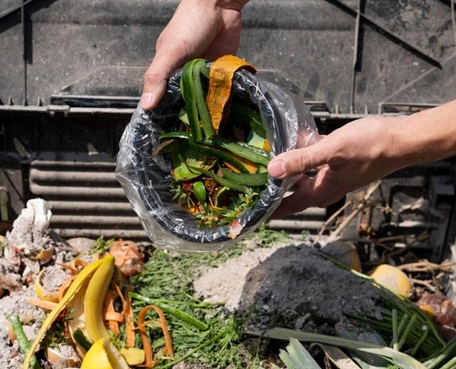 onion seeds in hindi