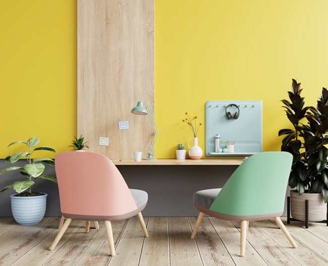 plants for study table