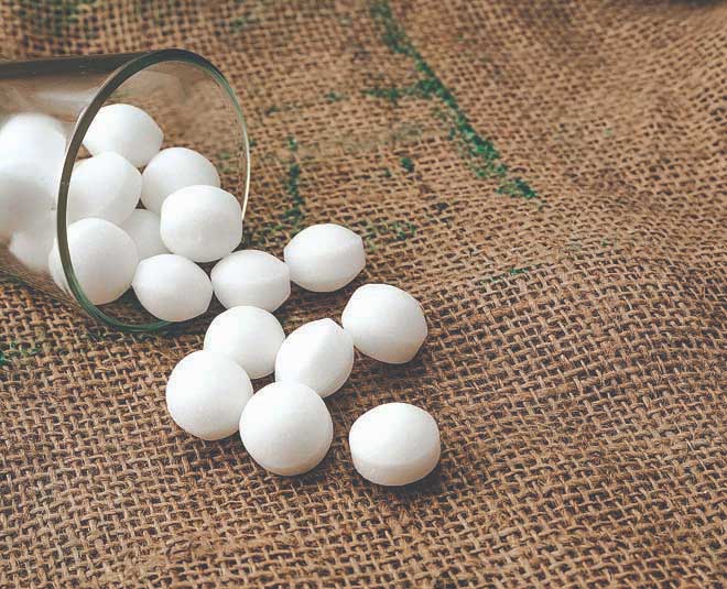 tips to get rid of booklice bugs inside