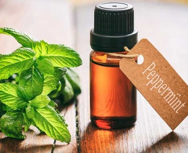 tips to get rid of booklice bugs inside