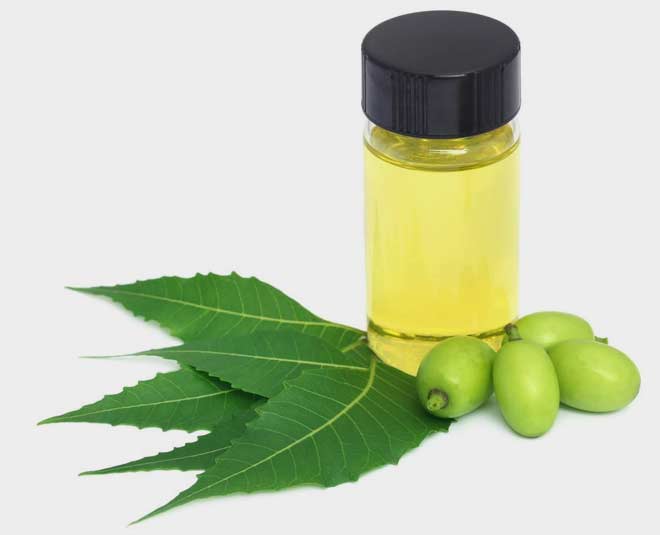 tips to get rid of white insect from chilli plant inside