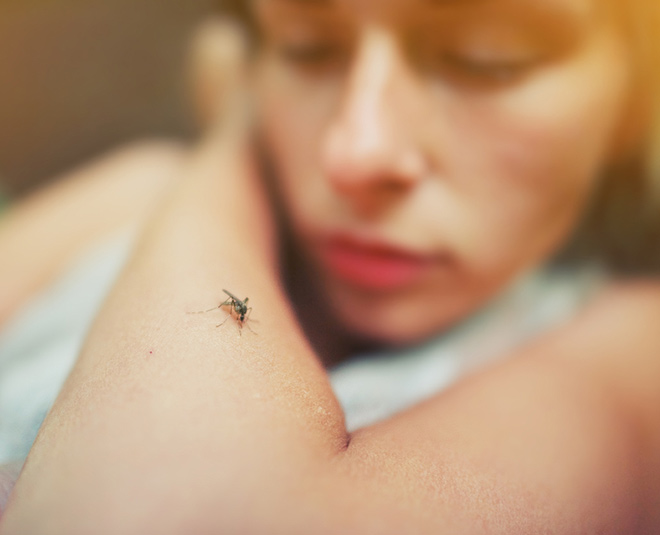 ayurveda tips for mosquito bite and insect inside