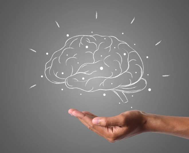 benefits  of  brahmi hindi