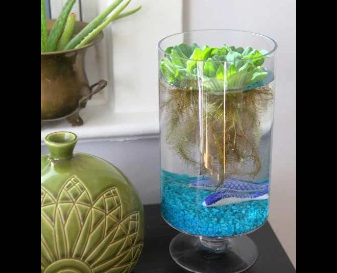 desktop water garden ideas tall