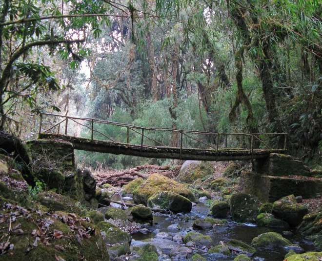 neora valley national park inside