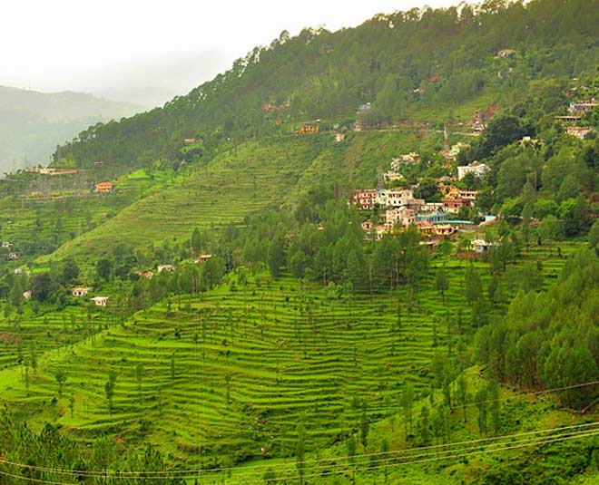 pangot, nainital near delhi