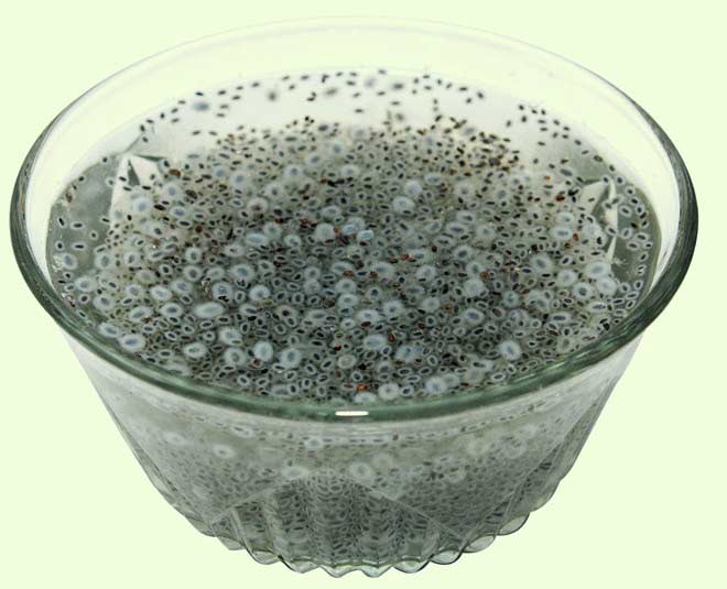 sabja seeds for weight loss