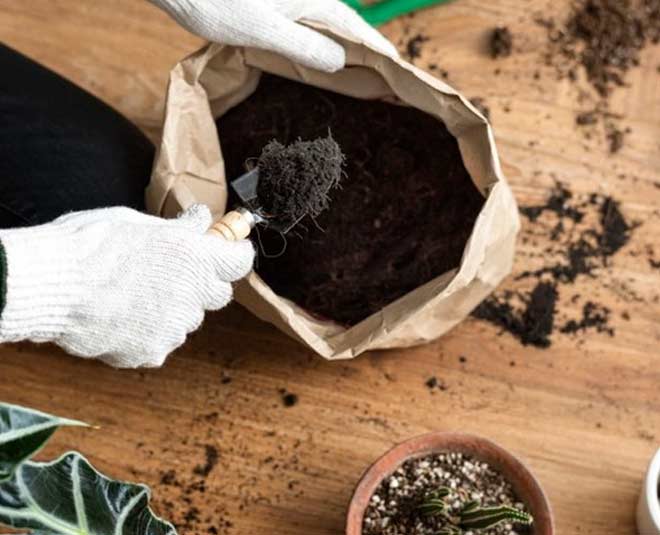 soil for garden