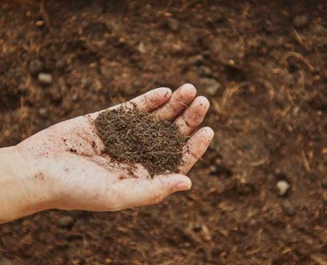 soil in hindi