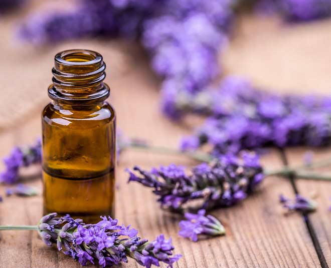 tips to get rid of stink bugs inside