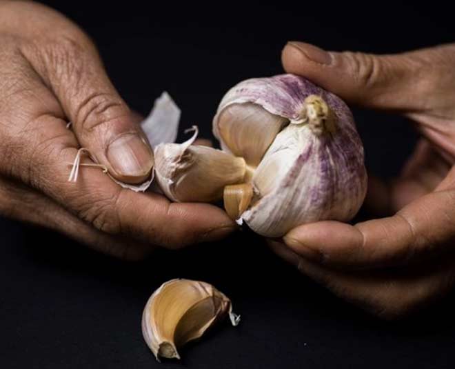 tulsi plant benefits for home