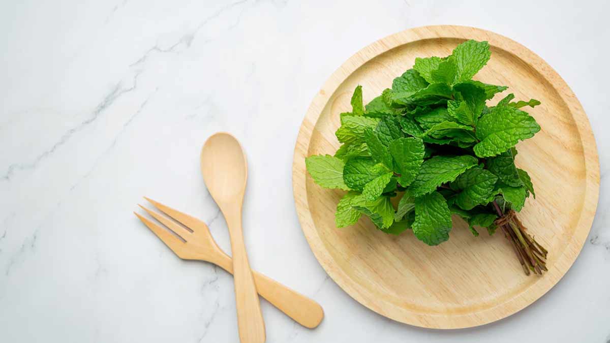 Must Include These Spices And Herbs In Summer Diet