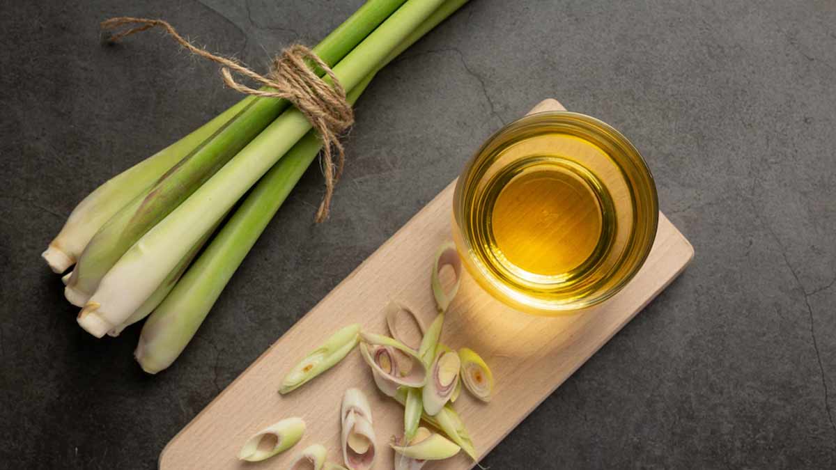 Spices And Herbs In Summer Diet