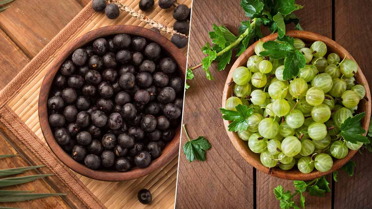 acai berry instead of amla