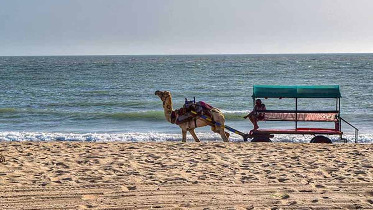 gujarat beach