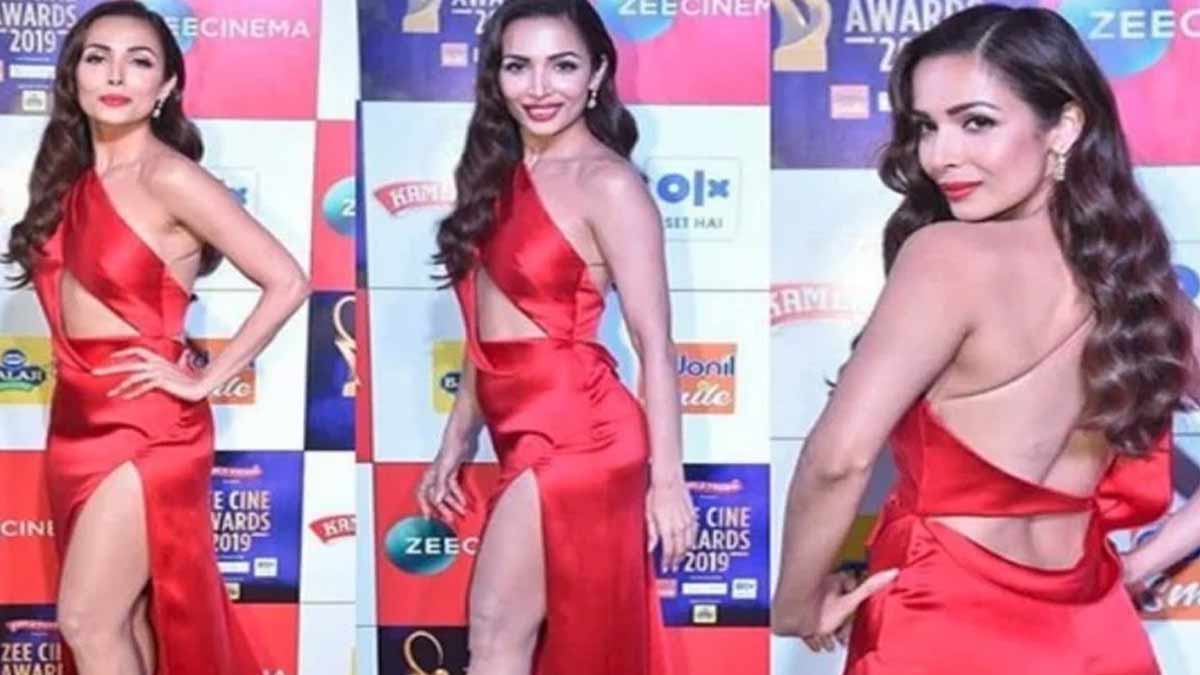 katrina  kaif  pregnancy  speculation