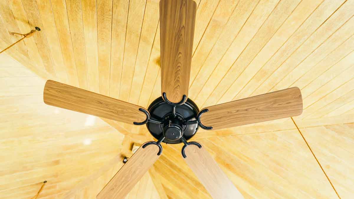 rotate fan counterclock wise