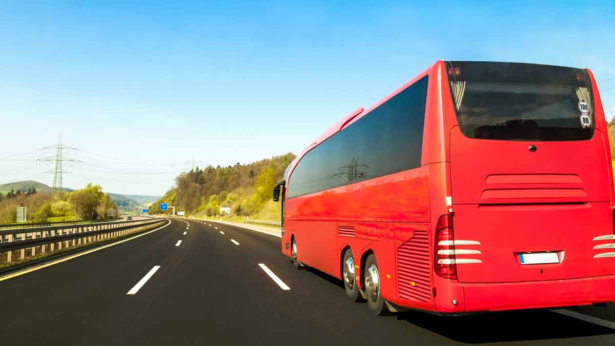 travel frauds related to buses