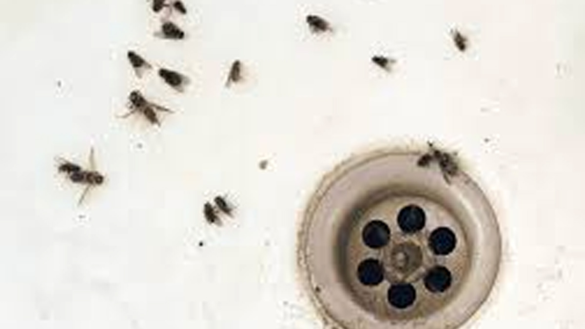 use of dettol soap Inside