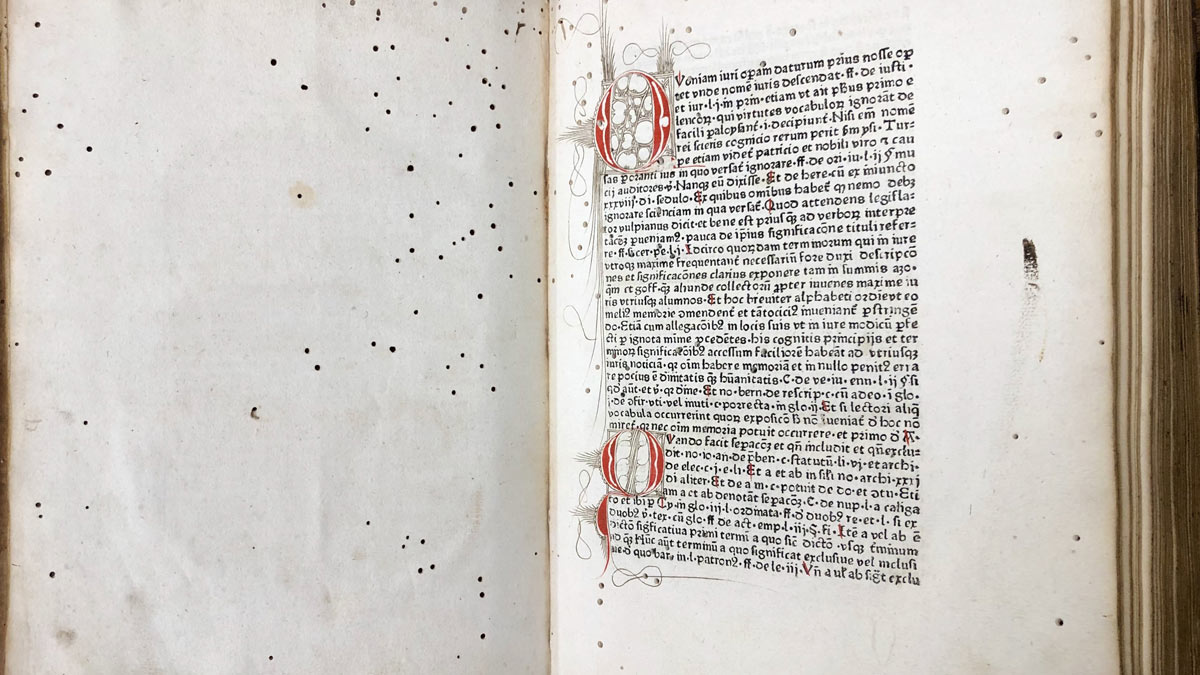 booklice during monsoon tips