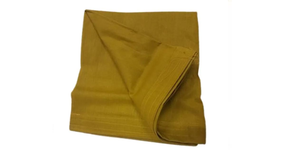 buckram border petticoat pic