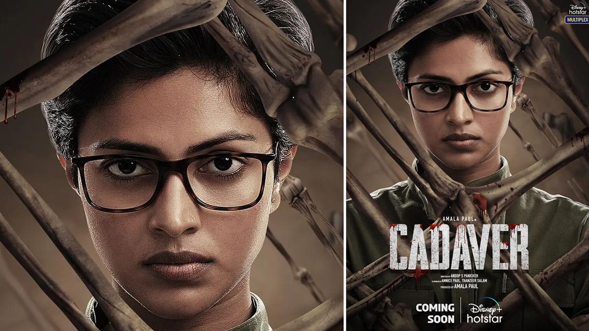 cadaver what to watch