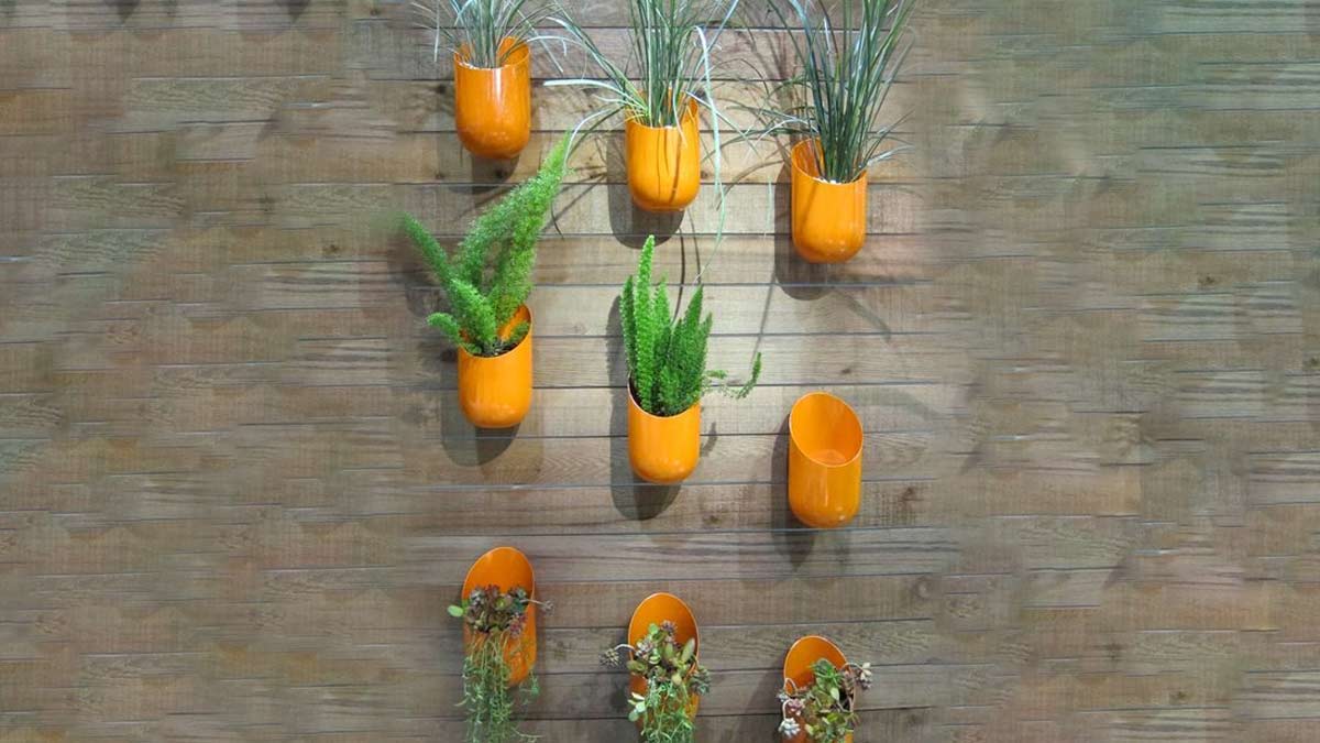 how to make plant holder with empty shampoo bottle