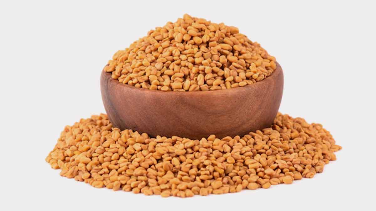 methi powder for hair care