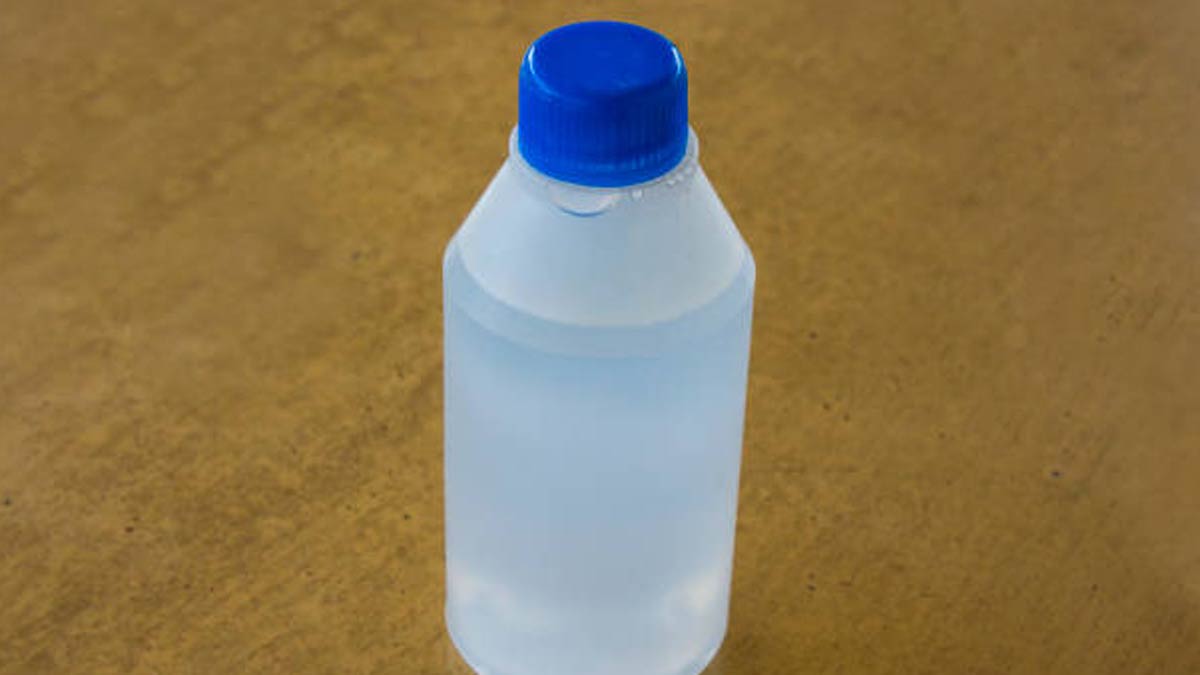 simple ideas to get rid of locusts from plants