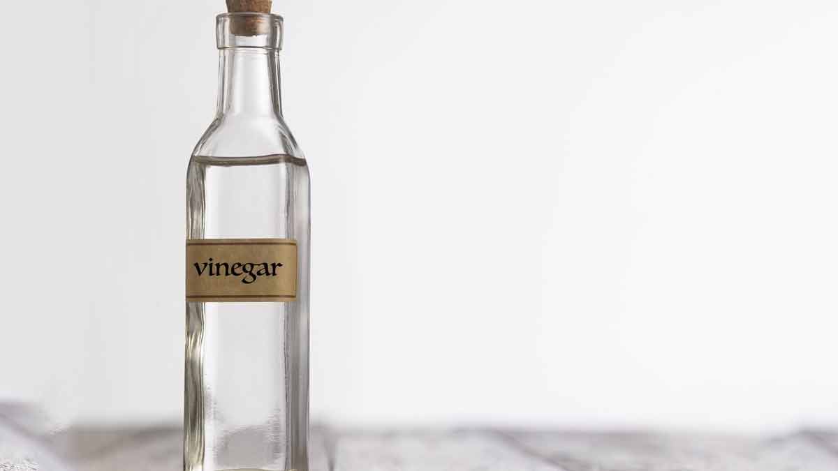 simple ideas to get rid of stink bugs from garden