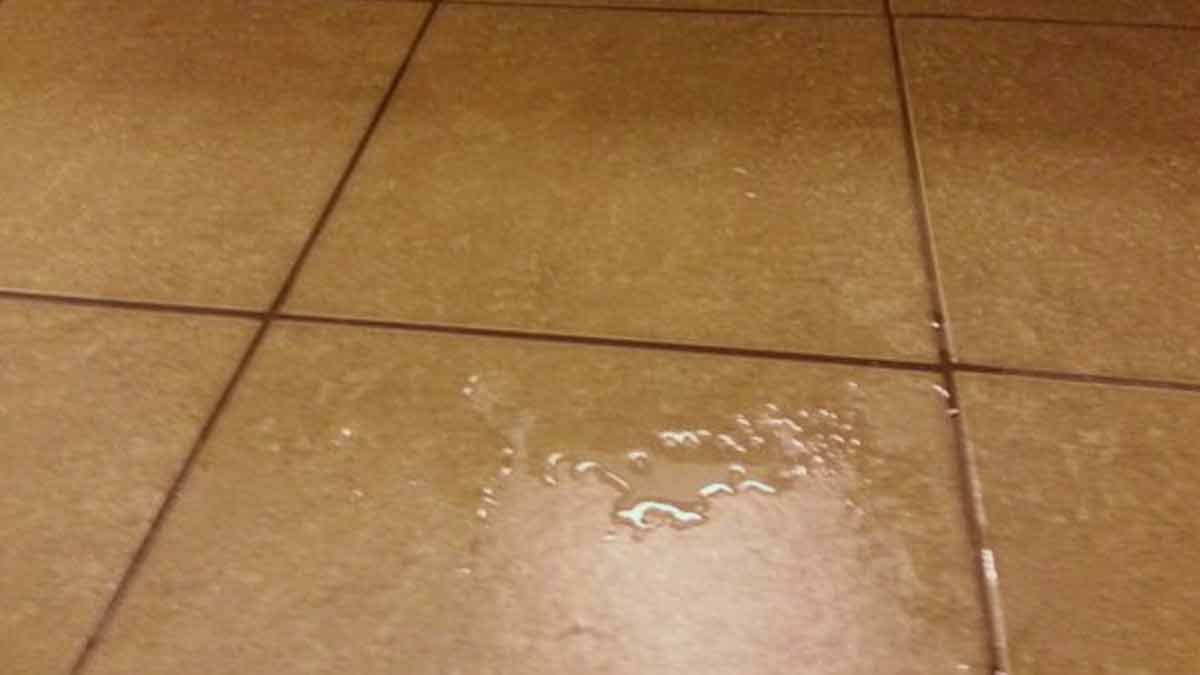 waterproofing tiles