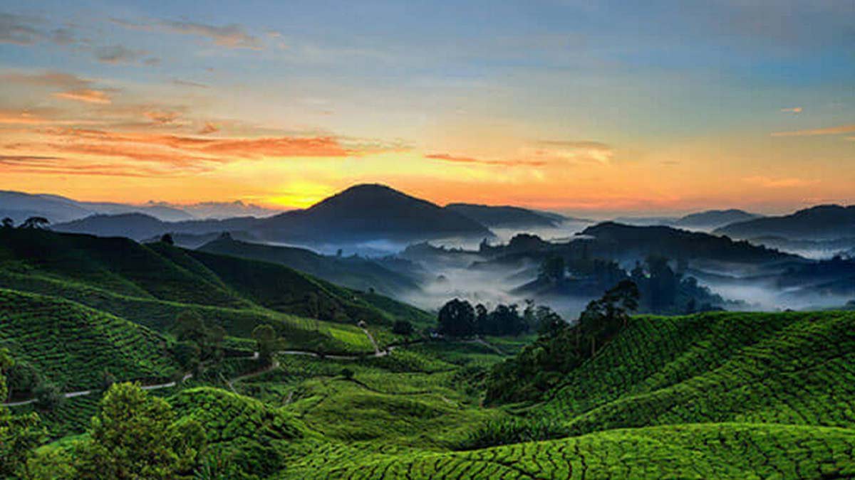 Devikulam Hill Station