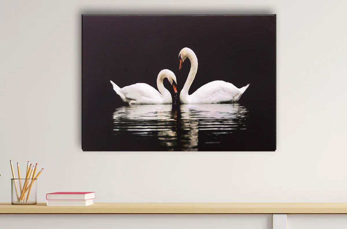 Hans Ki Tasveer Lagane Ke Laabh