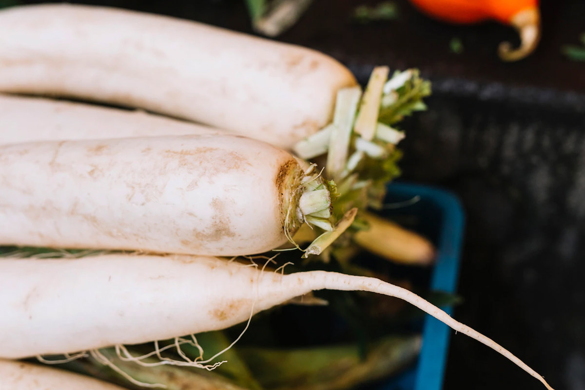 How to buy perfect radish in hindi