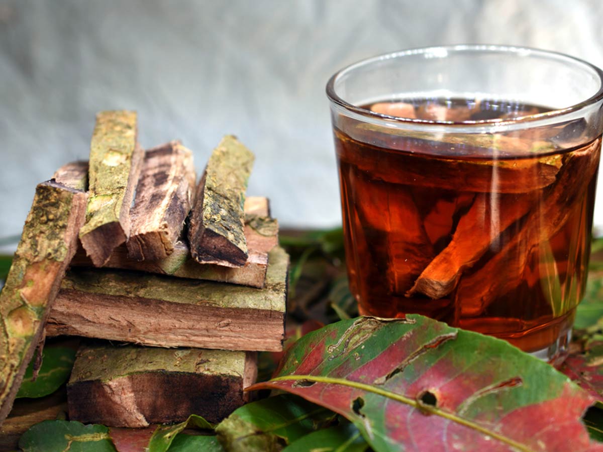 arjun tea for blood pressure