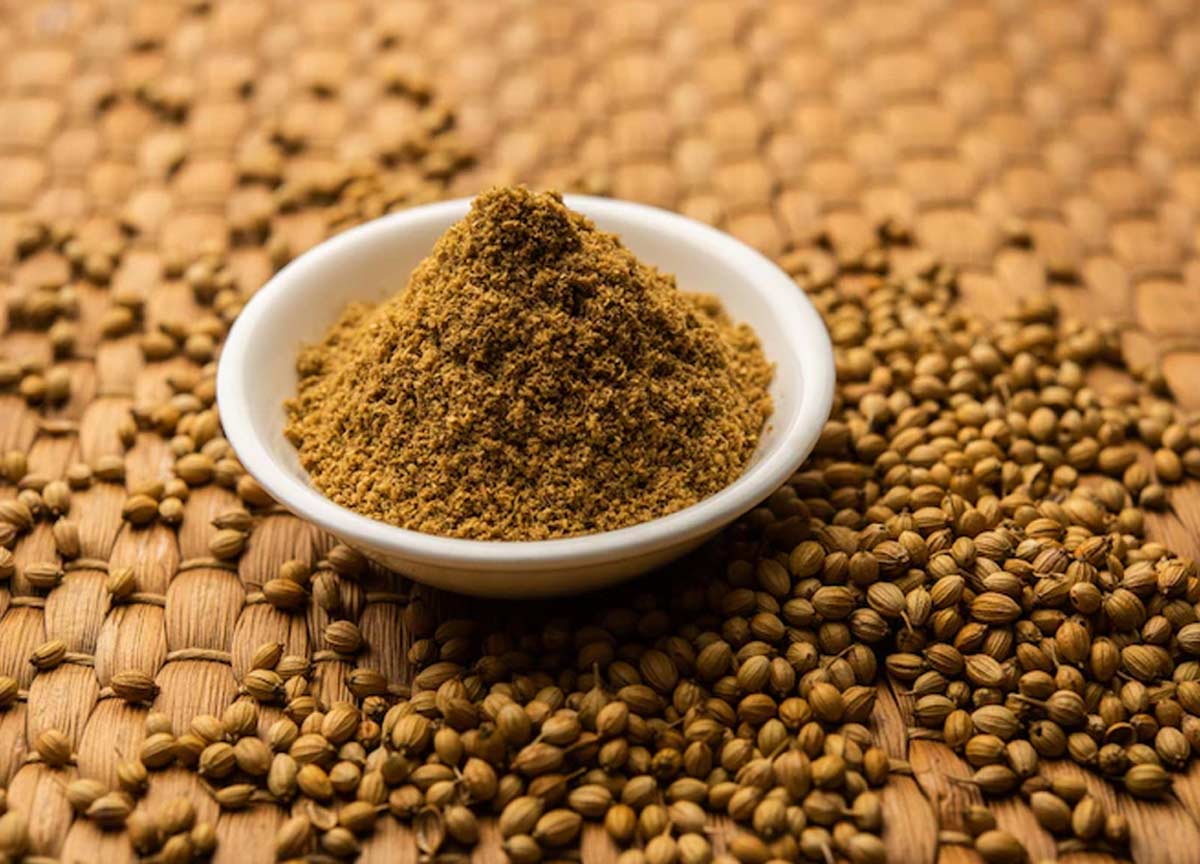 cilantro and its powder
